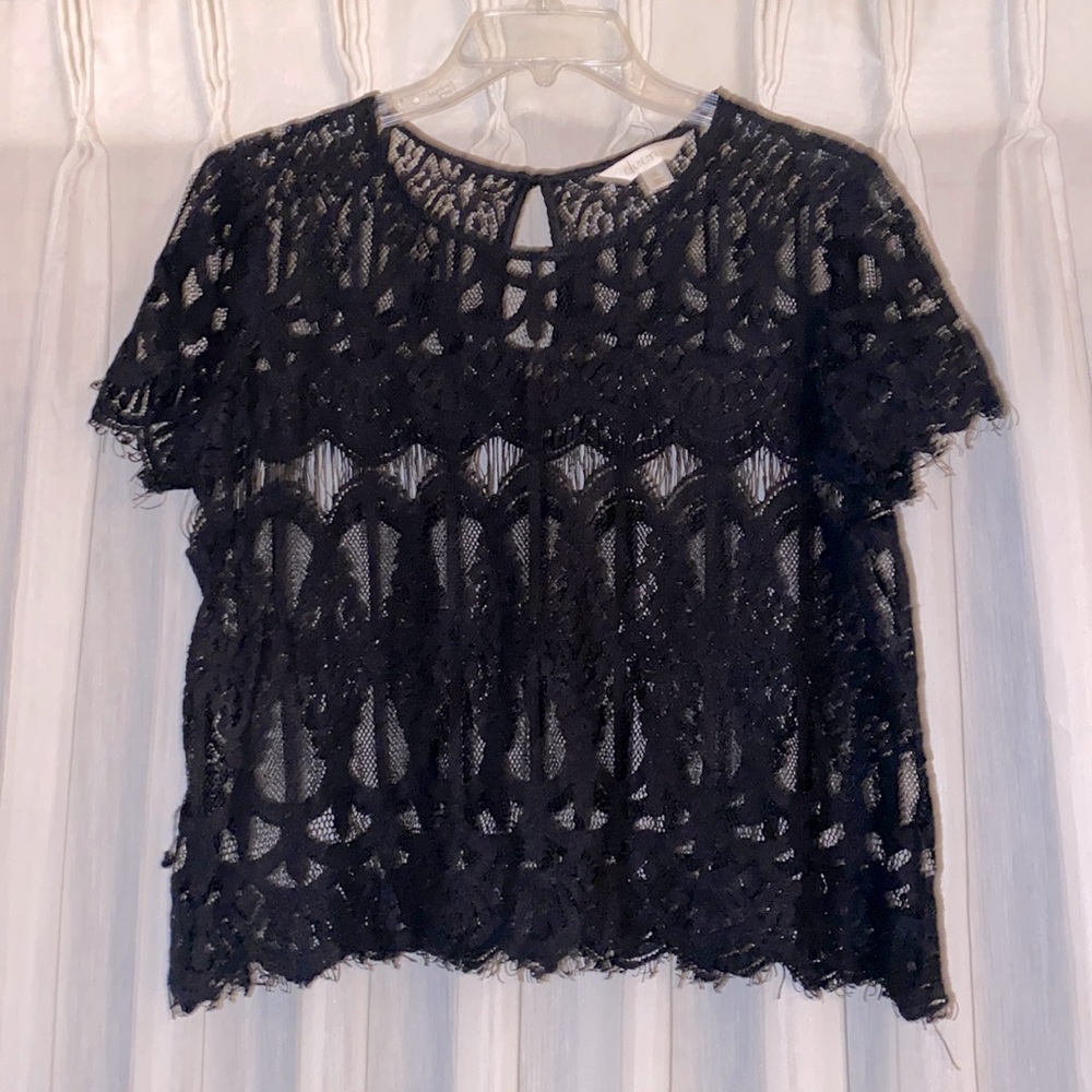 Decree Crochet Feel Cropped Blouse
